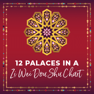 12 palaces in Zi Wei Dou Shu